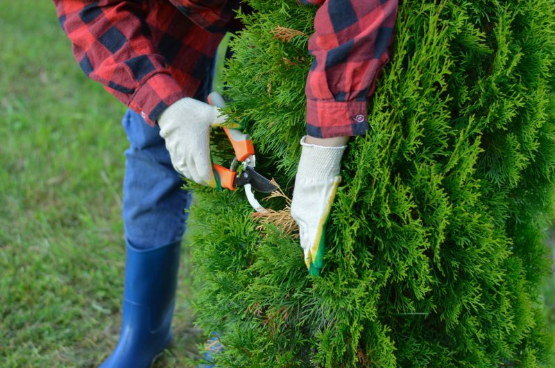 Tree Shearing